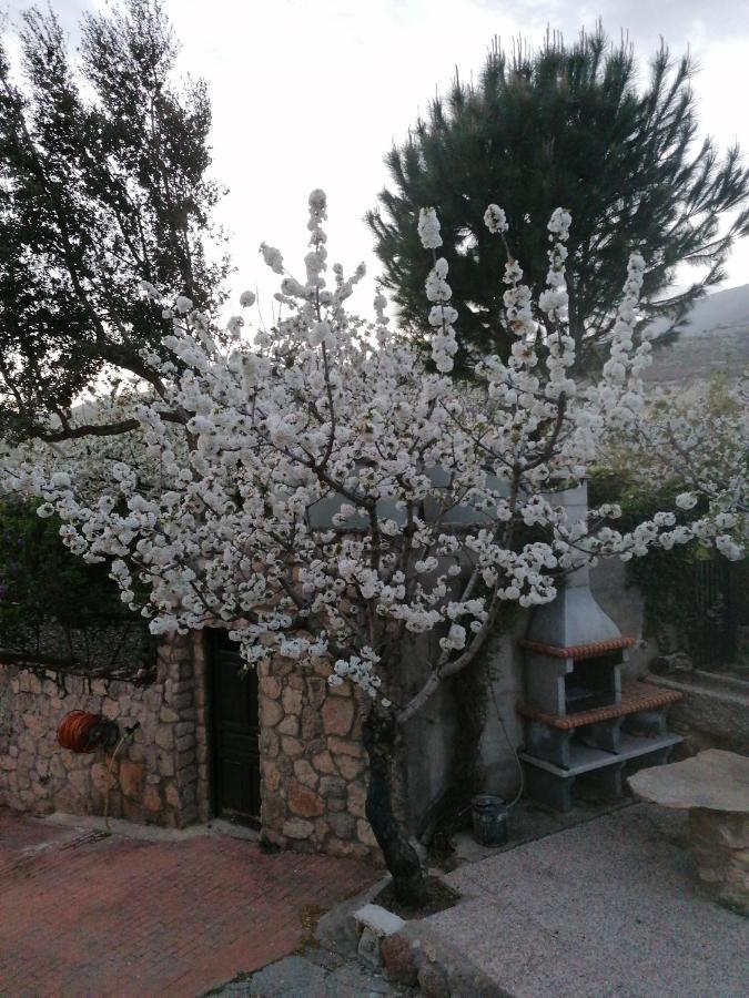 Complejo Rural Palomas Appartement Jerte