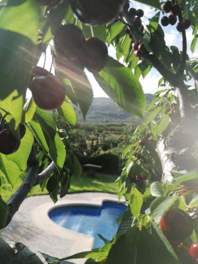 Apartament Complejo Rural Palomas *