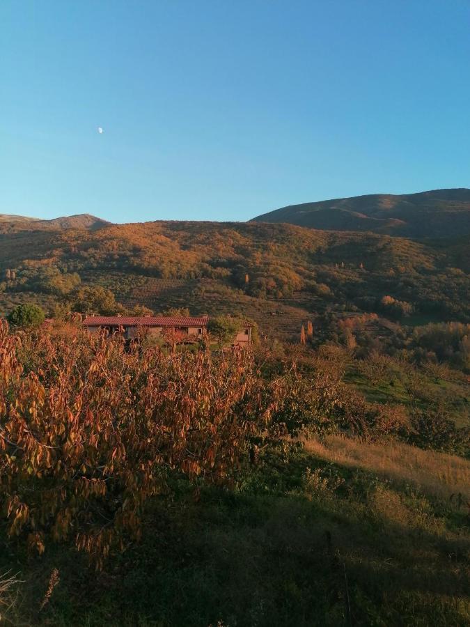 Appartement Complejo Rural Palomas *