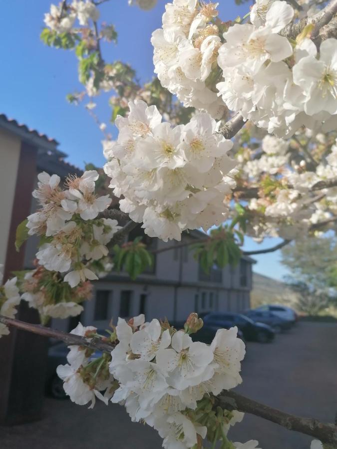 Complejo Rural Palomas