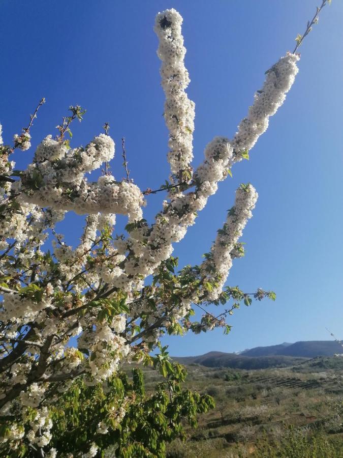Apartamento Complejo Rural Palomas *