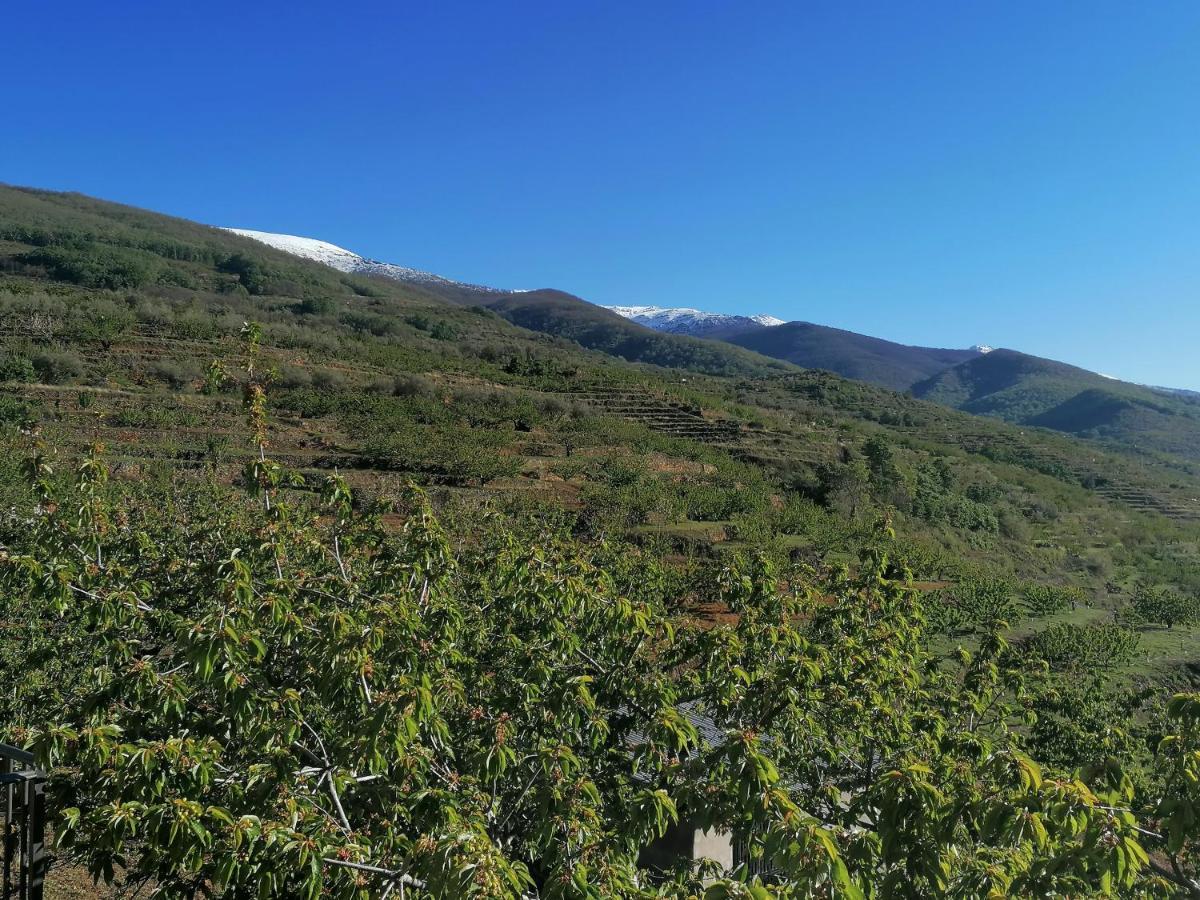 Apartament Complejo Rural Palomas Jerte