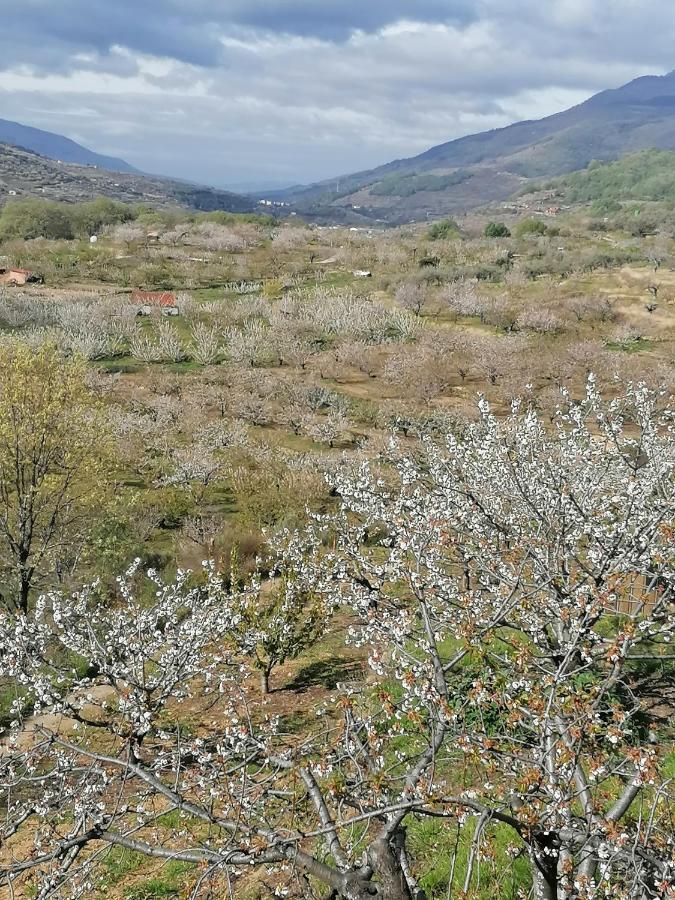 Complejo Rural Palomas Apartament *