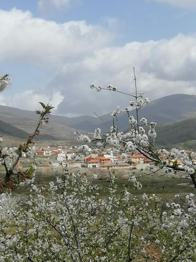 Complejo Rural Palomas Appartement