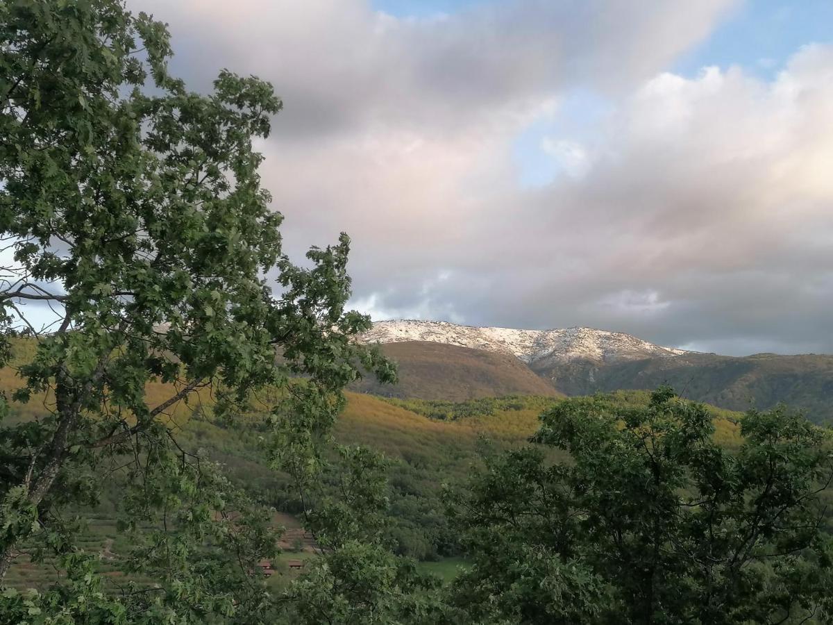 Complejo Rural Palomas Jerte