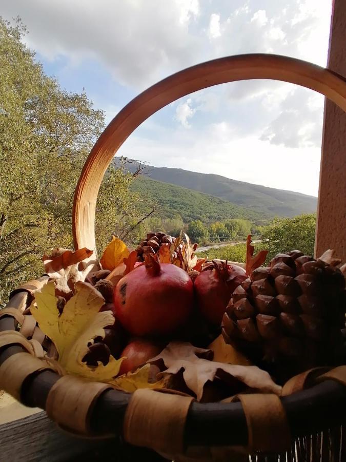Apartament Complejo Rural Palomas