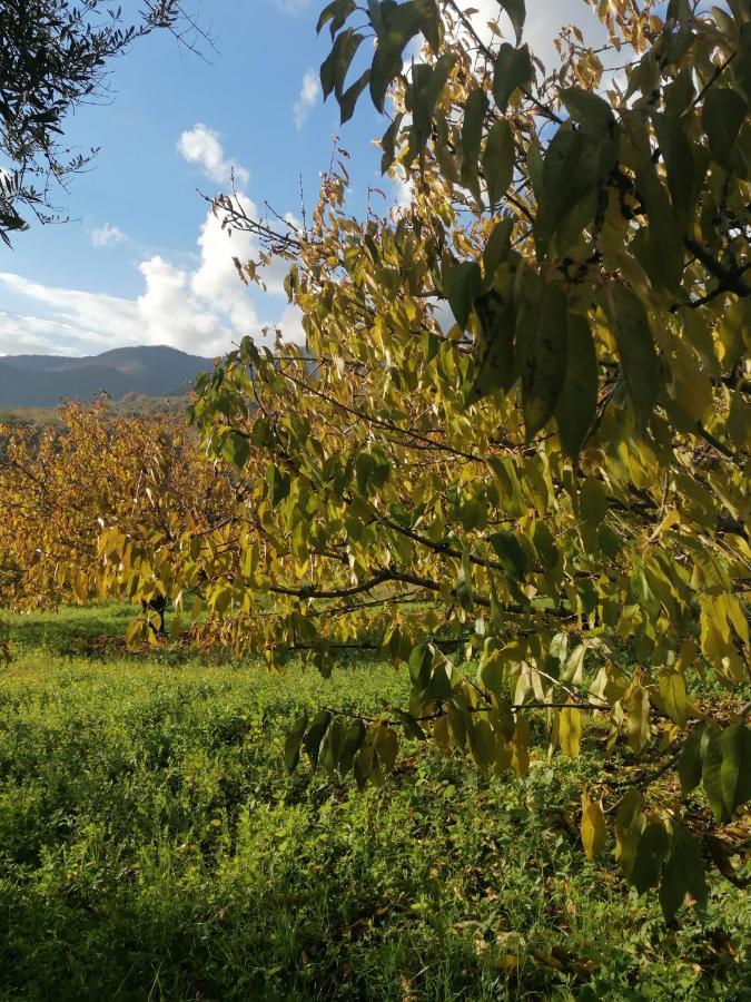 Apartament Complejo Rural Palomas Jerte