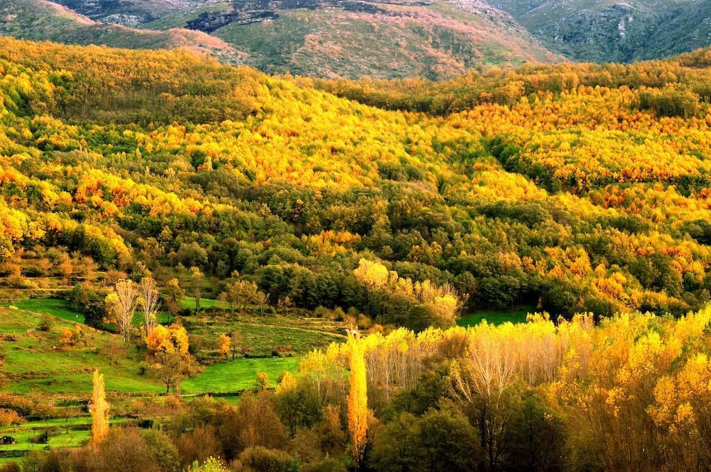 Complejo Rural Las Palomas